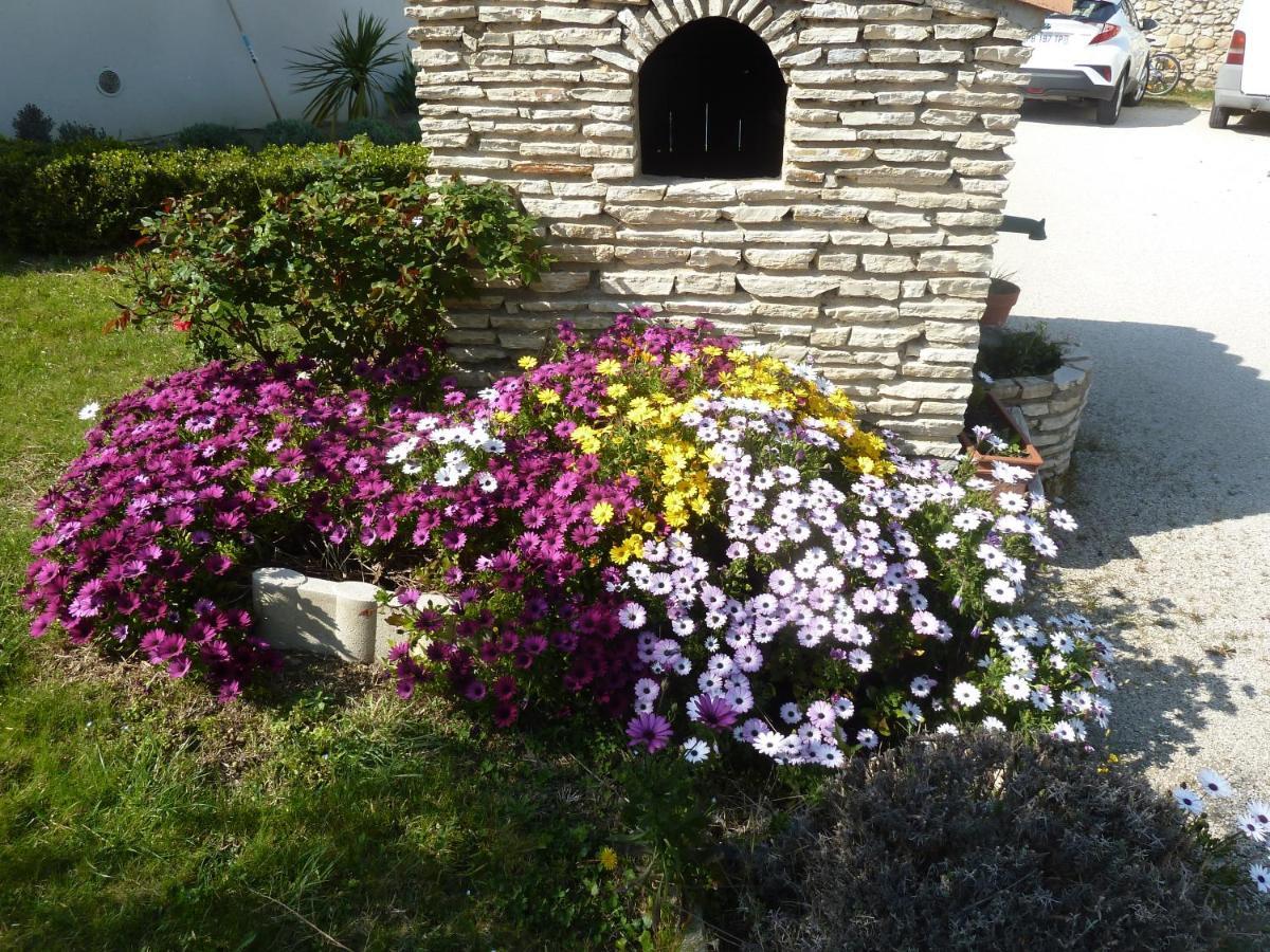 Le Gite De Lolivier En Provence Aramon 外观 照片