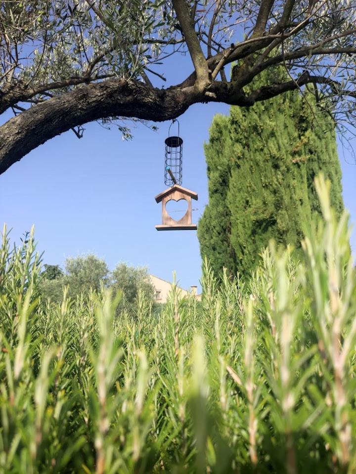 Le Gite De Lolivier En Provence Aramon 外观 照片
