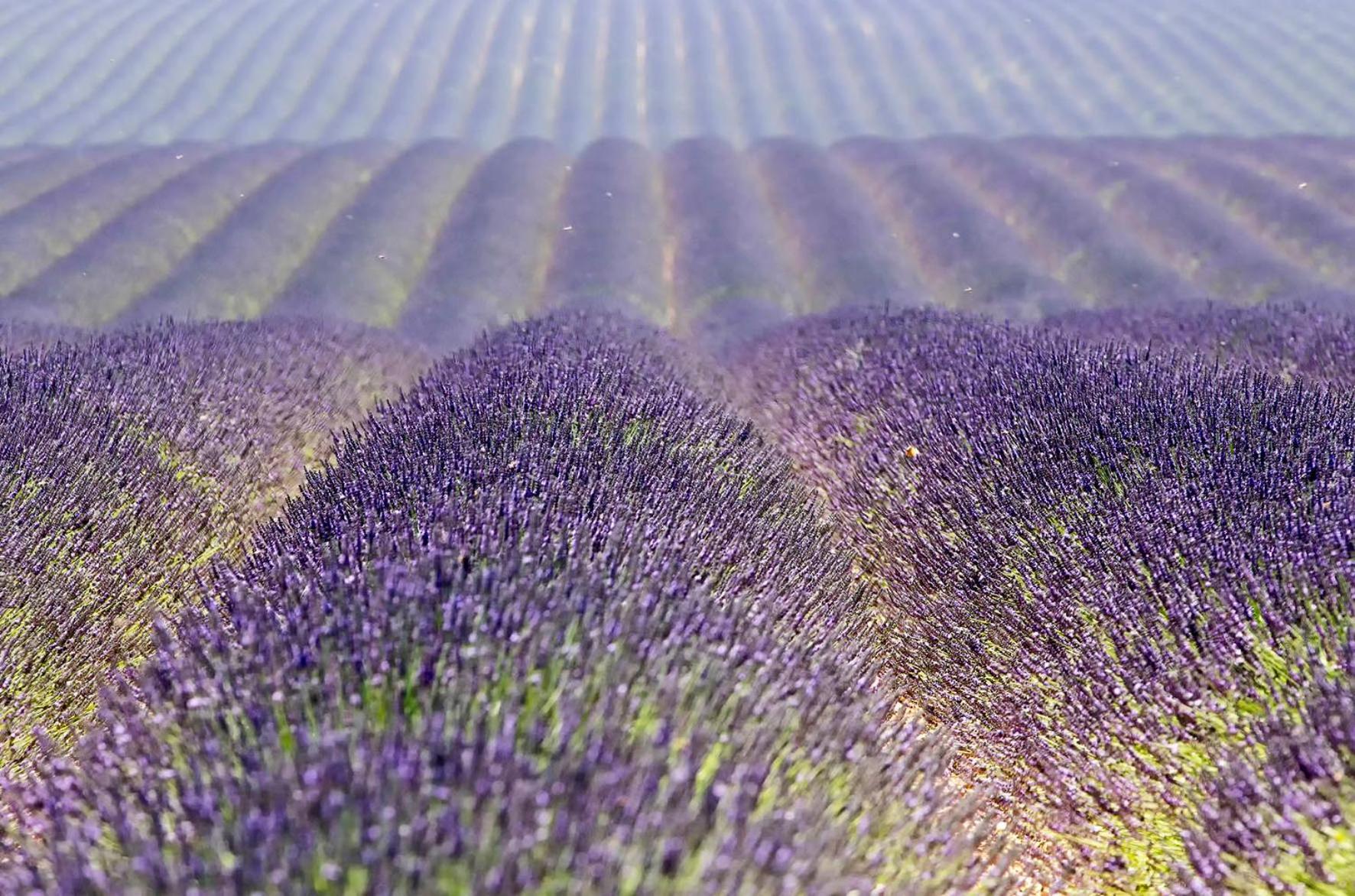 Le Gite De Lolivier En Provence Aramon 外观 照片