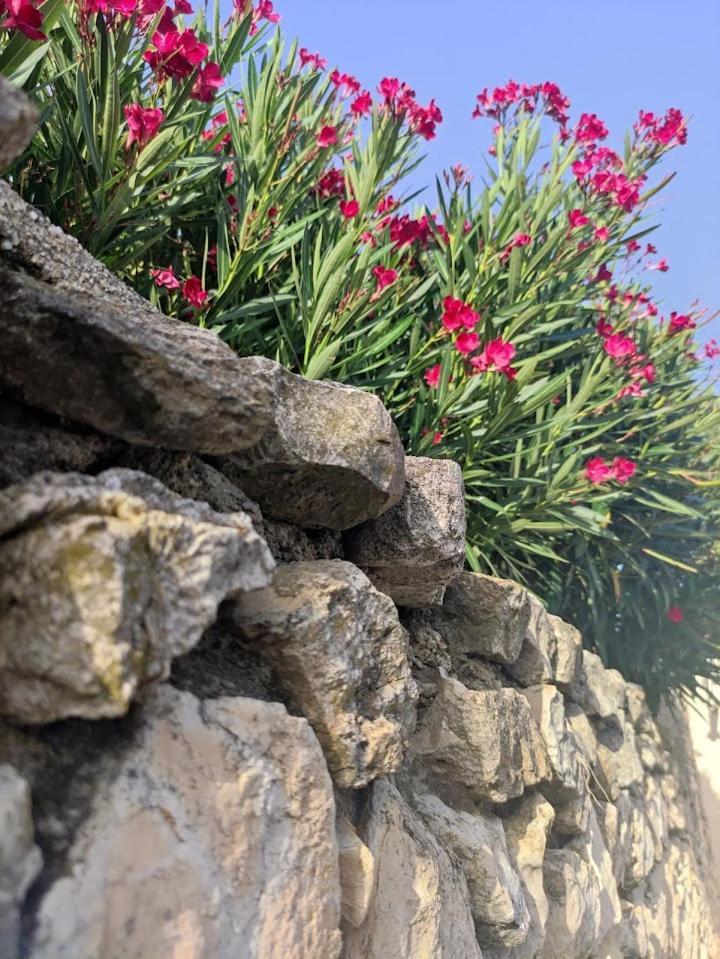 Le Gite De Lolivier En Provence Aramon 外观 照片