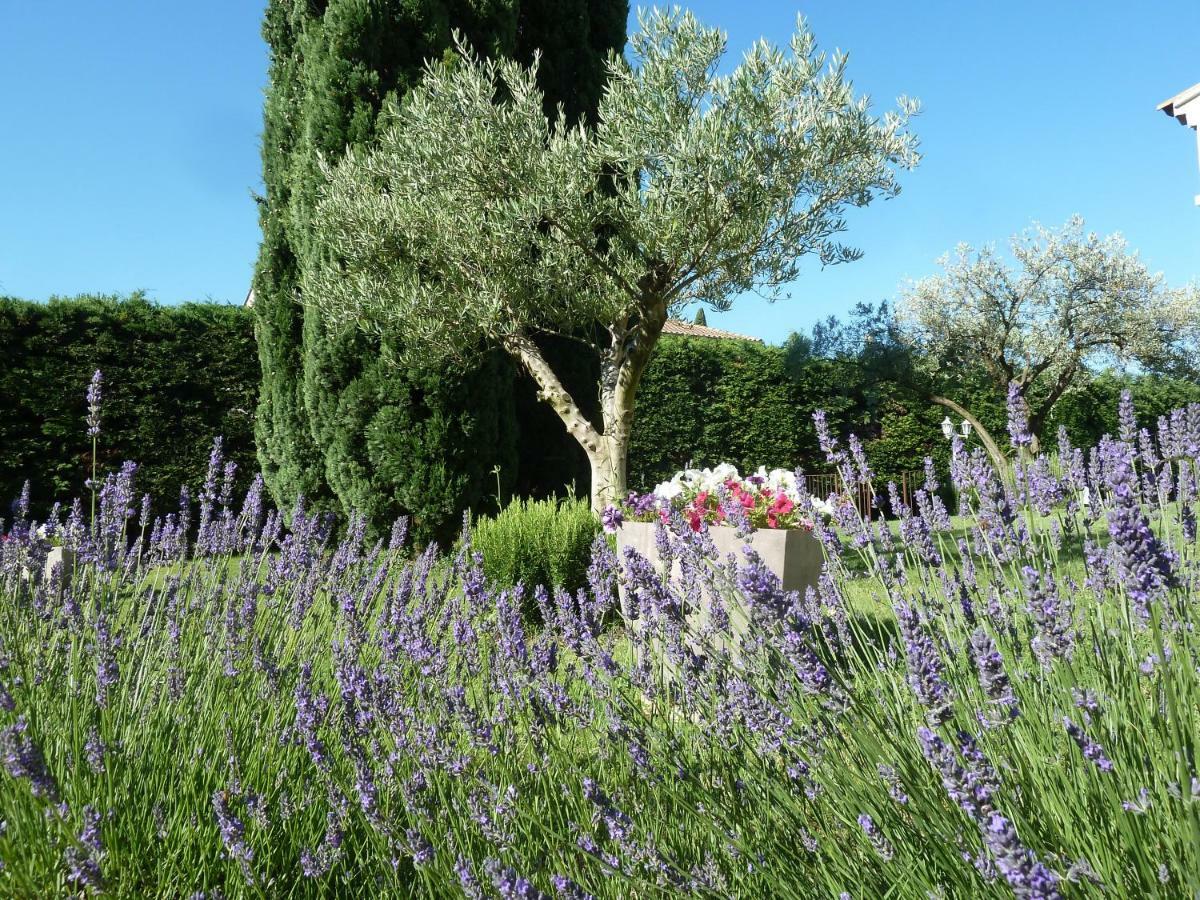 Le Gite De Lolivier En Provence Aramon 外观 照片